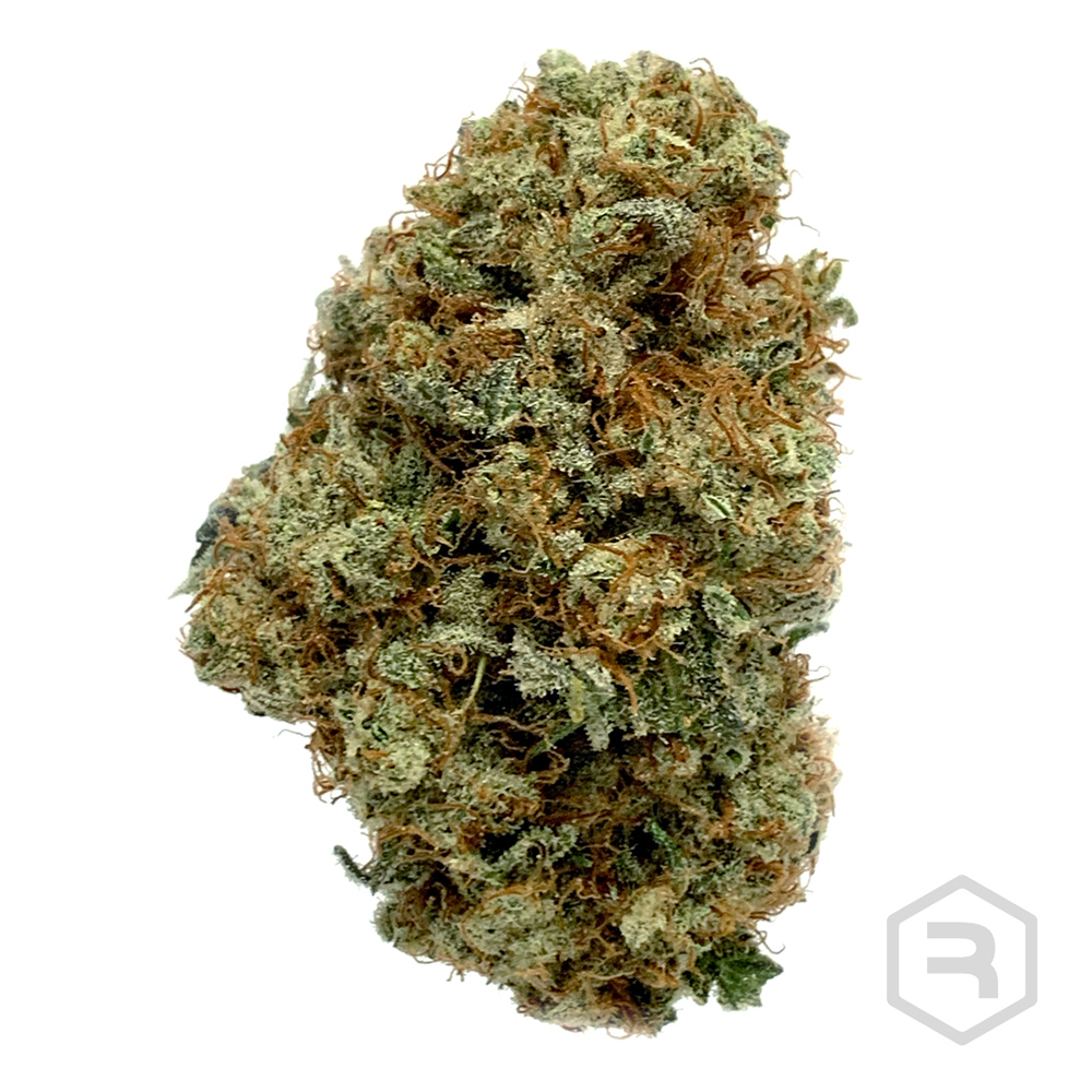 Gorilla Punch Revolution Jane