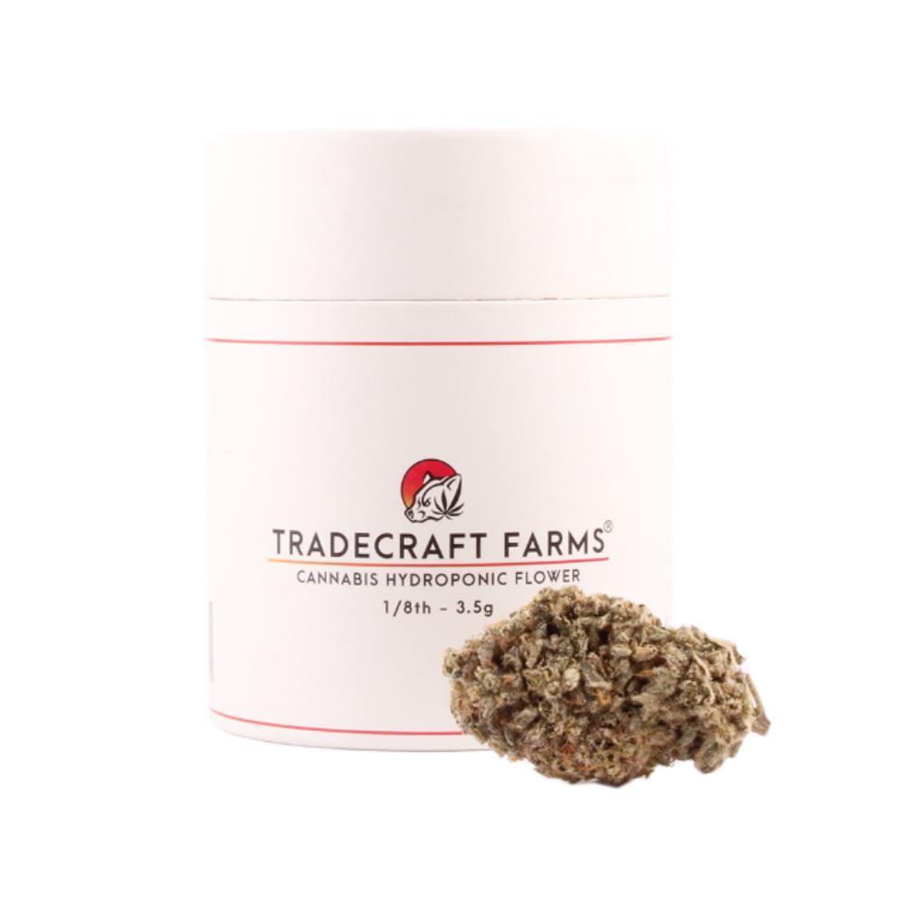 Sunset Mac 5 Tradecraft Farms Jane