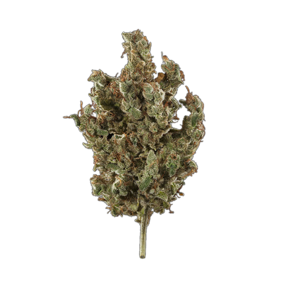 Lightshade CBD Jane