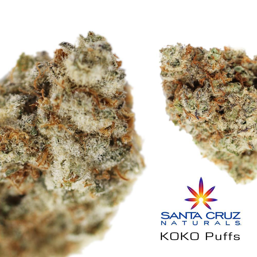 Koko Puffs Farmer Max Jane