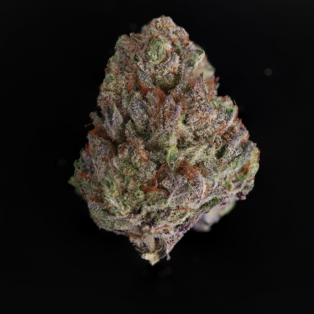 Chocolate Hashberry Emerald Family Farms Jane