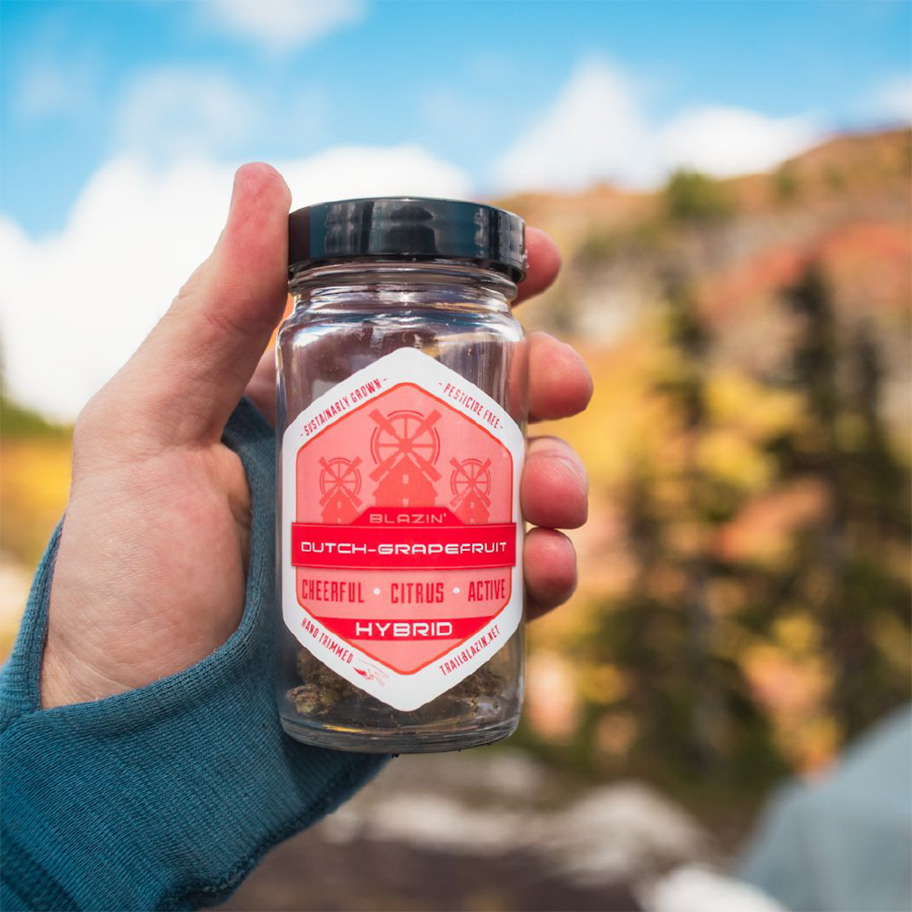 Dutch Grapefruit Trail Blazin' Productions Jane