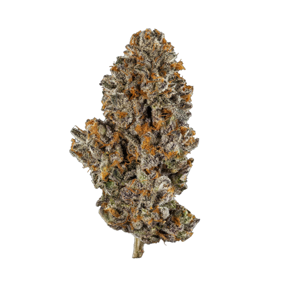 Danky kong jane