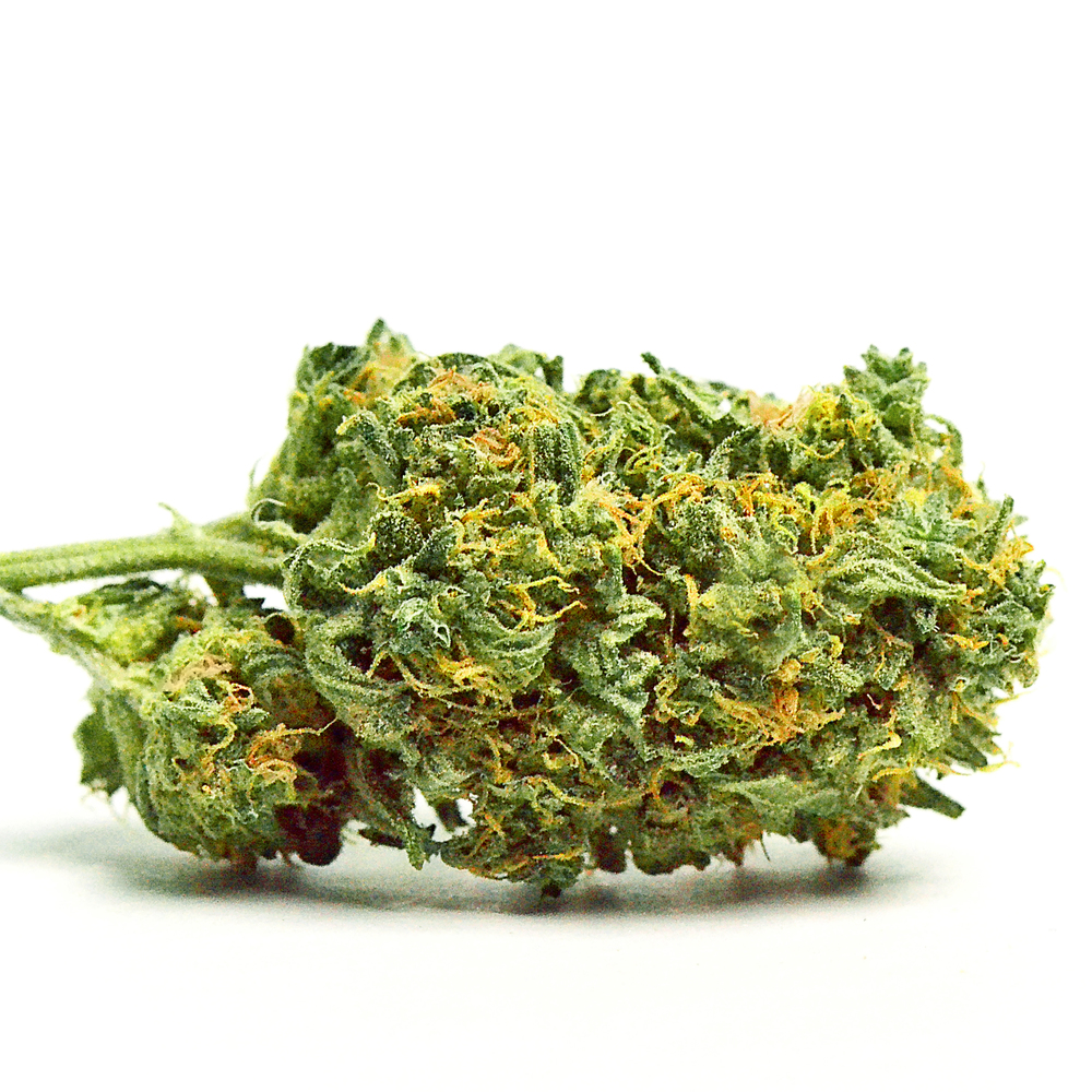 Powder Keg Nature's Grace and Wellness Smalls Jane