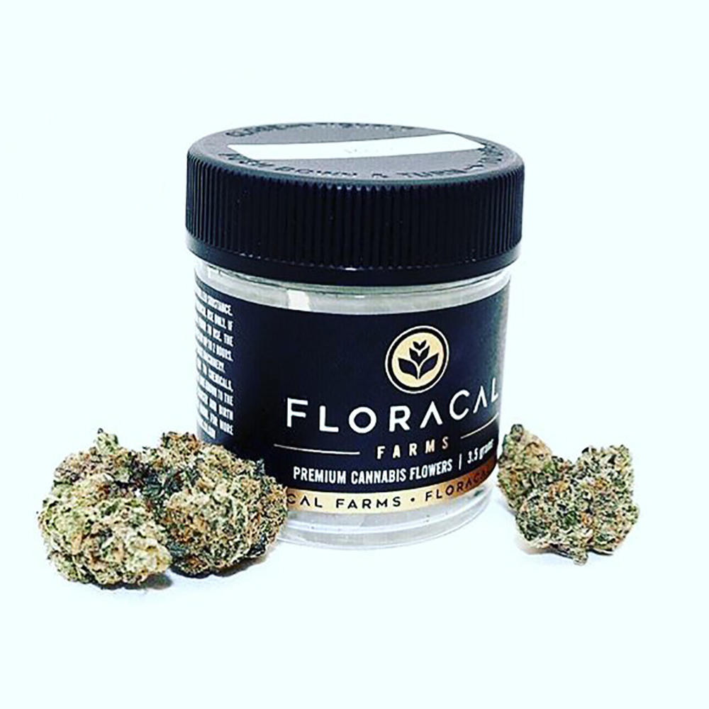 Face Mints FloraCal Jane