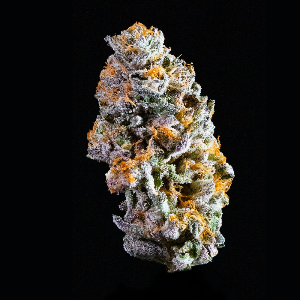 Gushers Strain