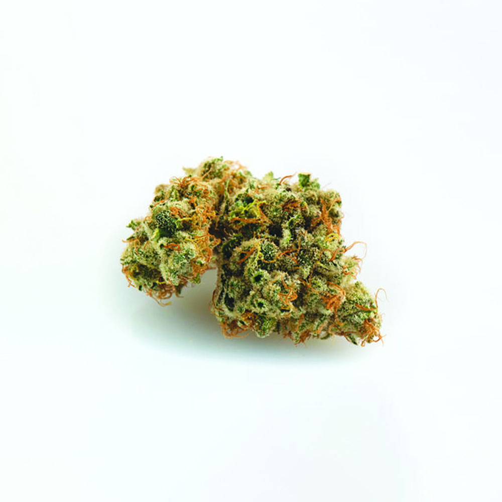 East Coast Cookies Prime Wellness Jane