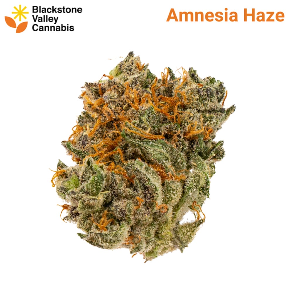 Blackstone Valley Cannabis - Amnesia Haze Flower Blackstone Valley Cannabis - Amnesia Haze Flower