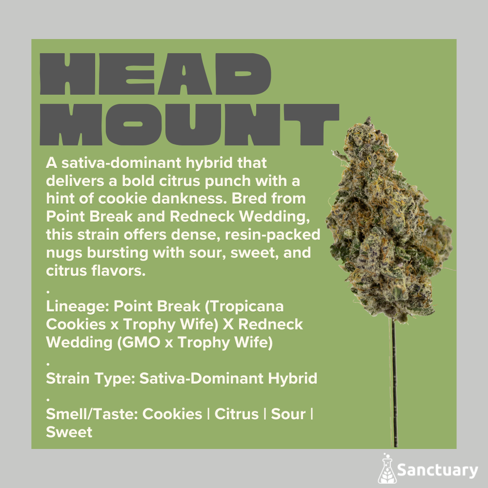 Head Mount