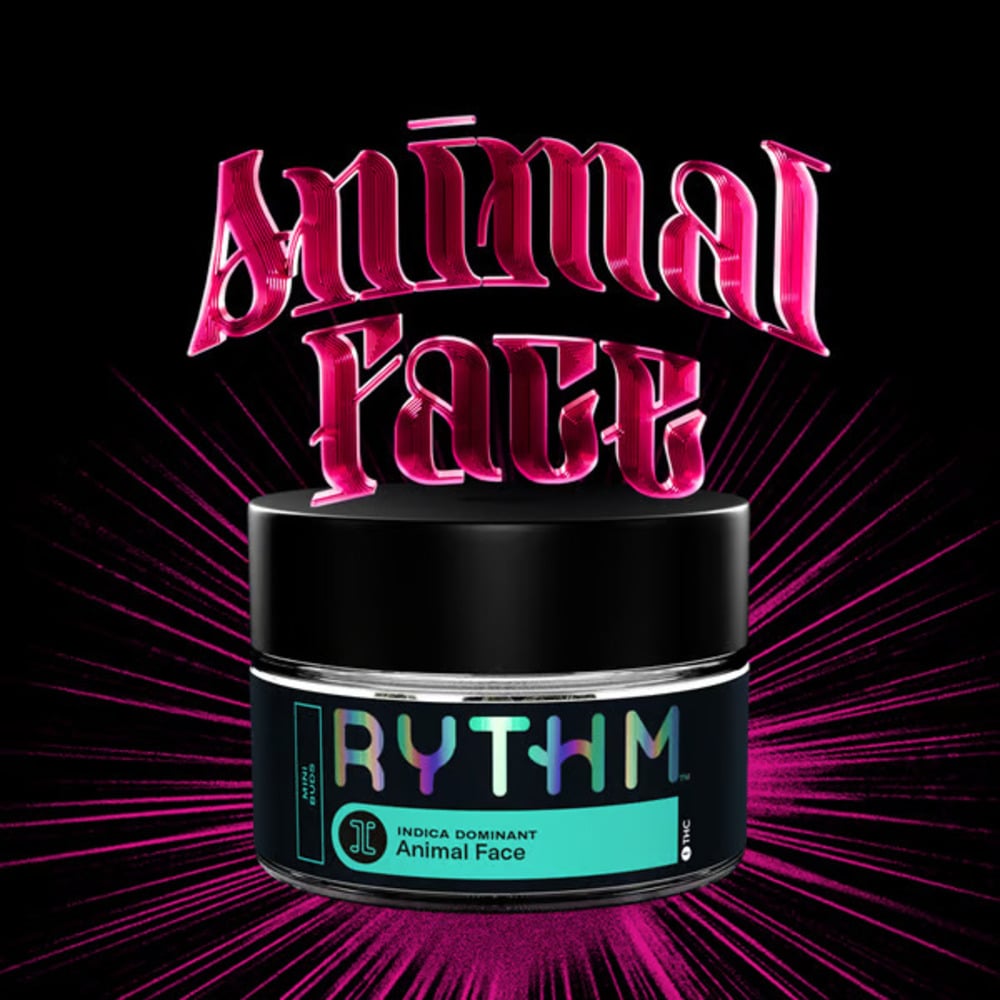 Rythm - Animal Face Mini Buds