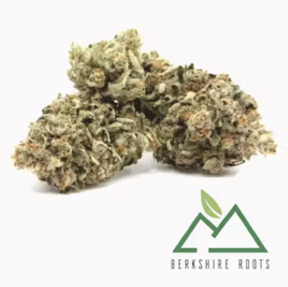 Berkshire Roots - Ice Cream Kush Flower