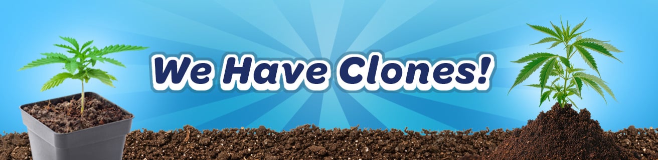 Green Goods - Layhill (MED) Marketing Banner
