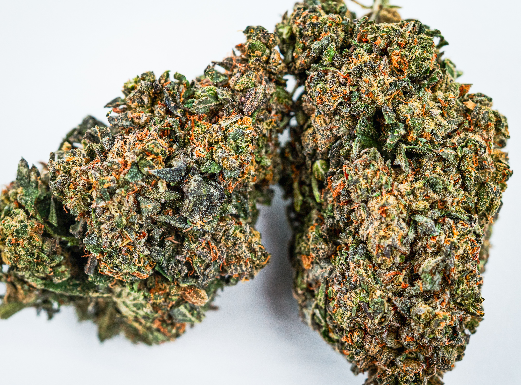 Peanut Butter Breath
