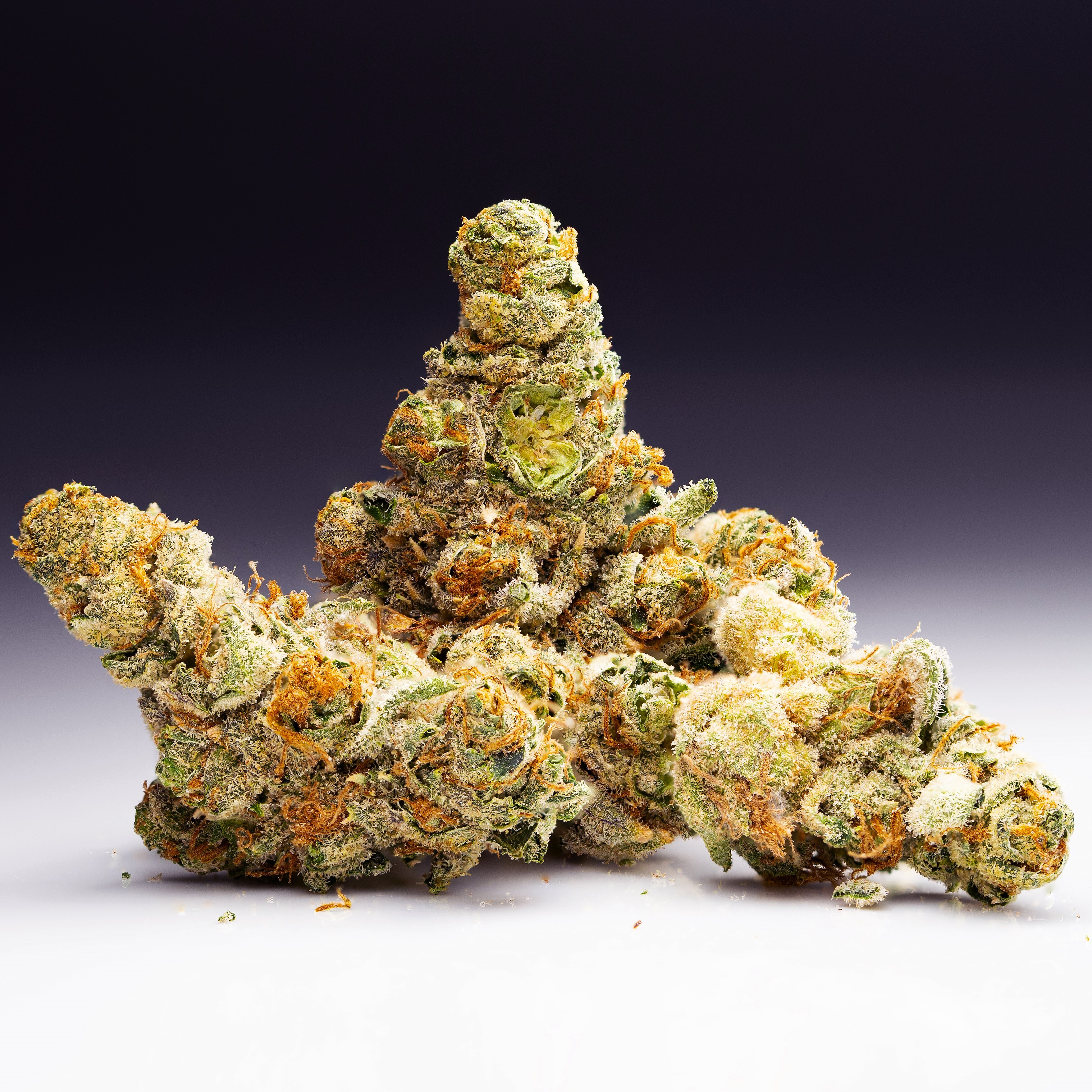 Orange Cookies