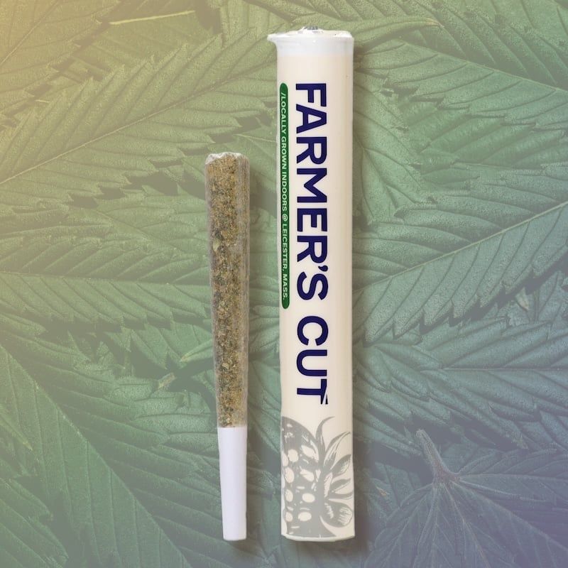 Farmer's Cut - Glazed Apricot Lime Pre-Roll (1g)