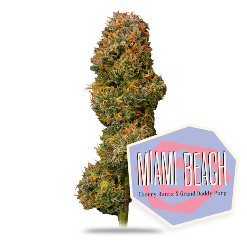 Miami Beach