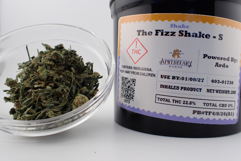 The Fizz