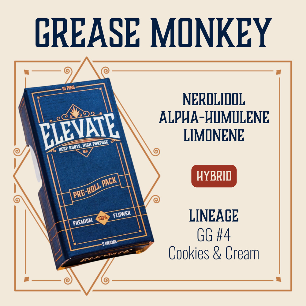Grease Monkey
