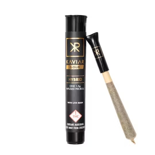 Apple Fritter [1.5g]