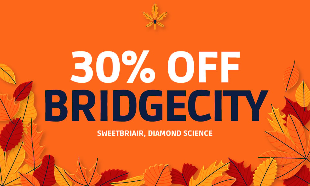 GET-30%-OFF-BRIDGE-CITY-COLLECTIVE-BRANDS