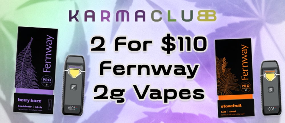 2 for $110: Fernway 2g Pro Traveler Vapes special