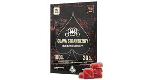 Guava Strawberry | Sativa - Live Rosin Gummies - 100mg THC Guava Strawberry | Sativa - Live Rosin Gummies - 100mg THC
