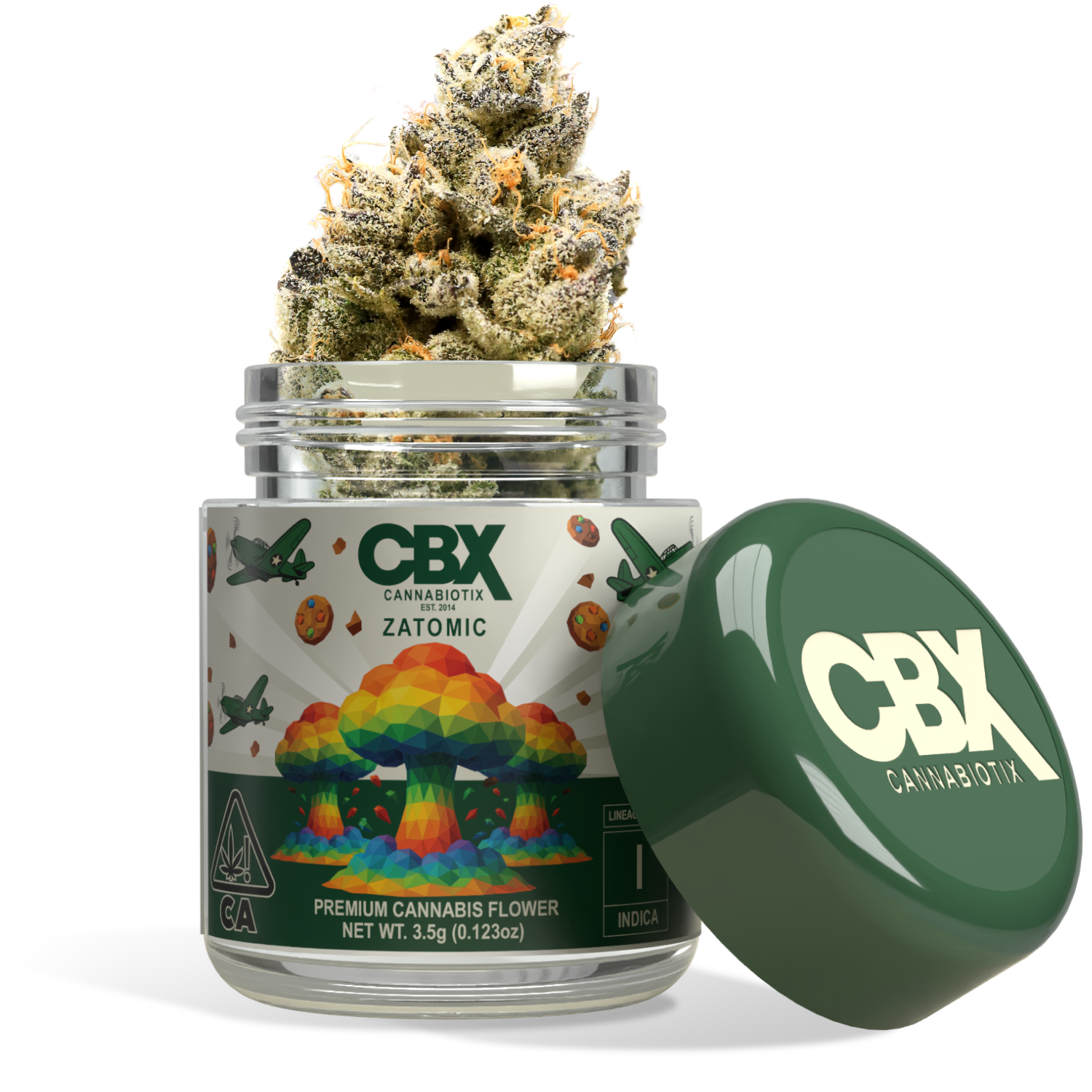 f48f284e-683d-4d51-a8e6-