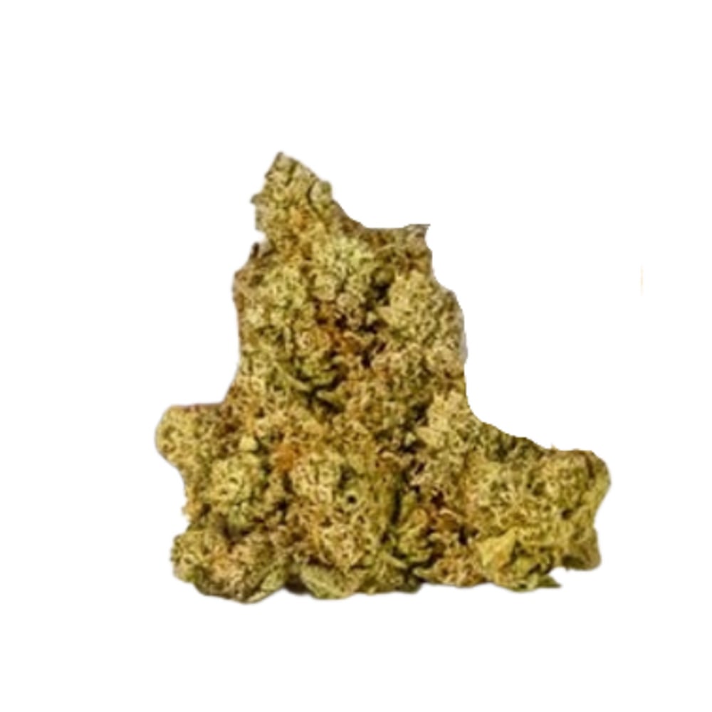 Holy Gelato | Smalls