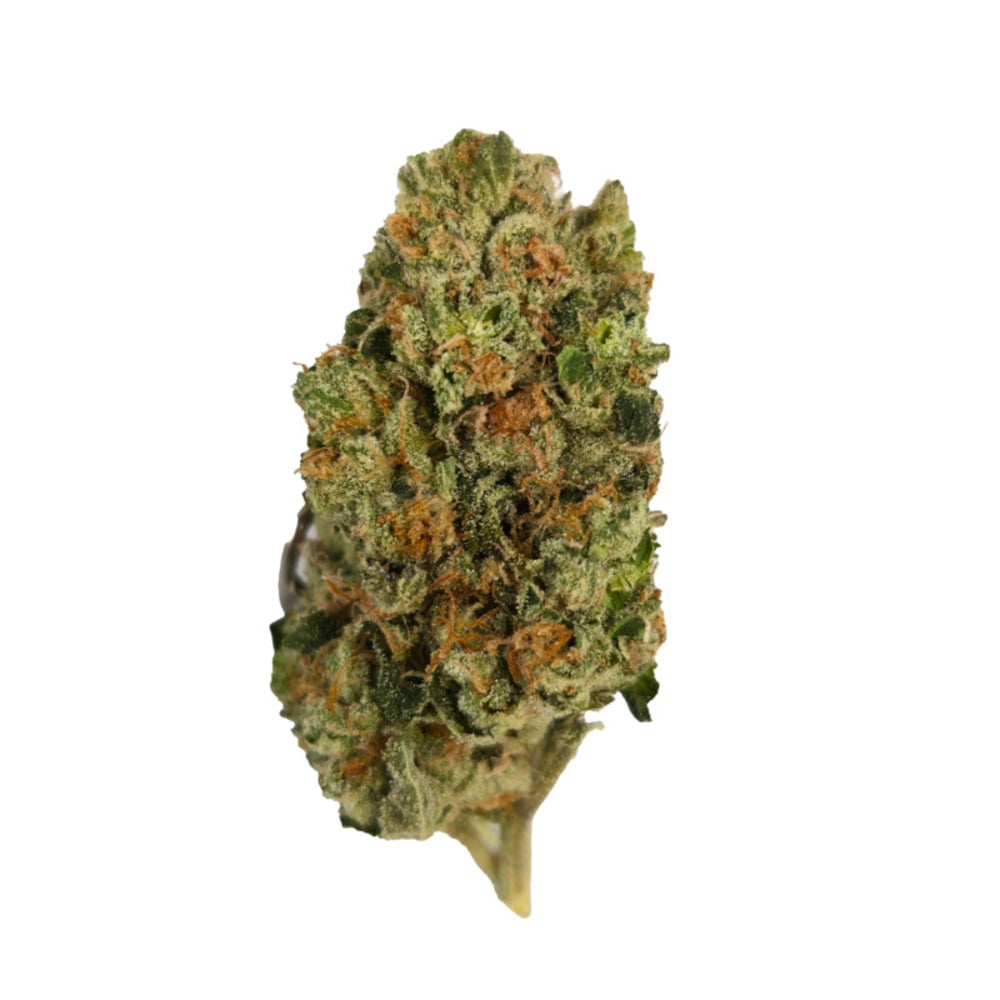 Znow Flakes - 1/8oz in Moorhead