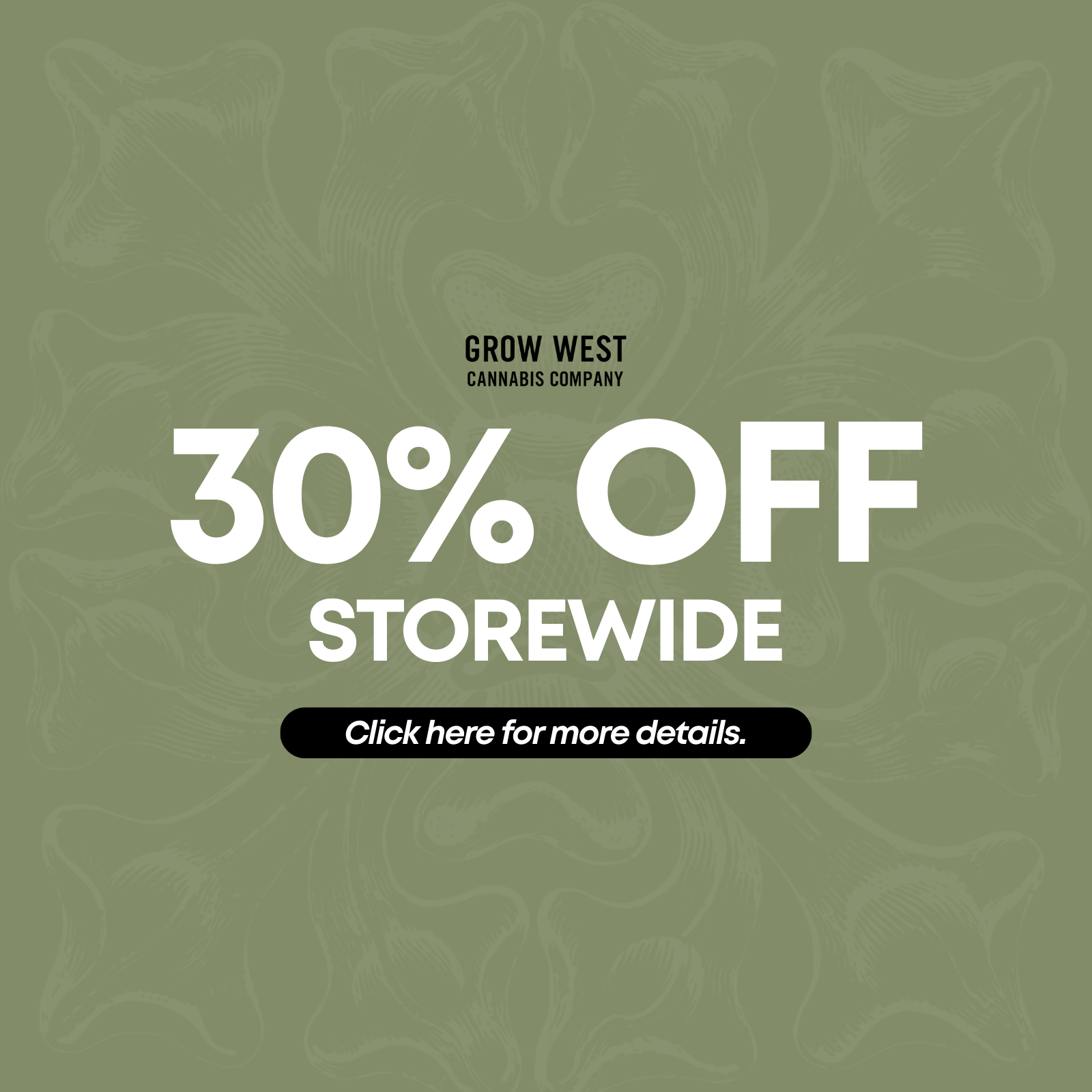30% Off Storewide special