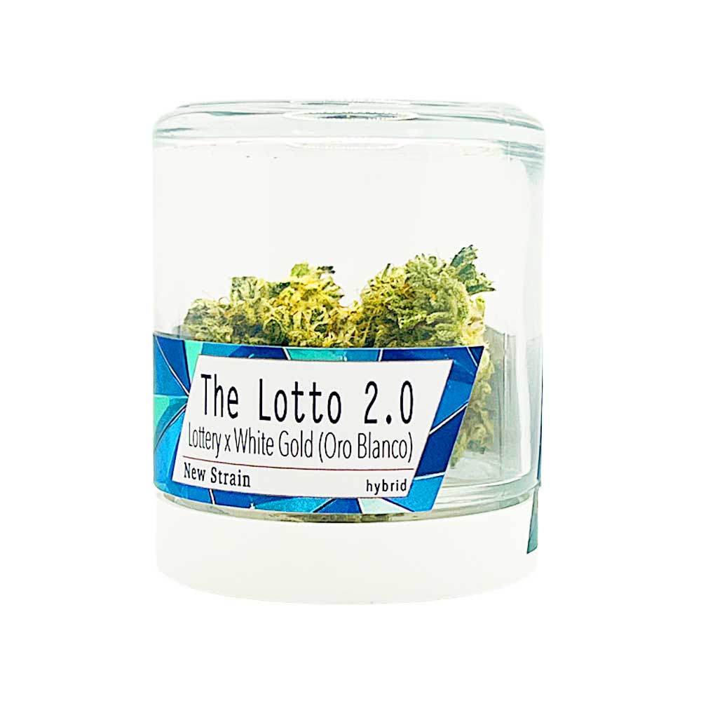 The Lotto 2.0 The Lotto 2.0