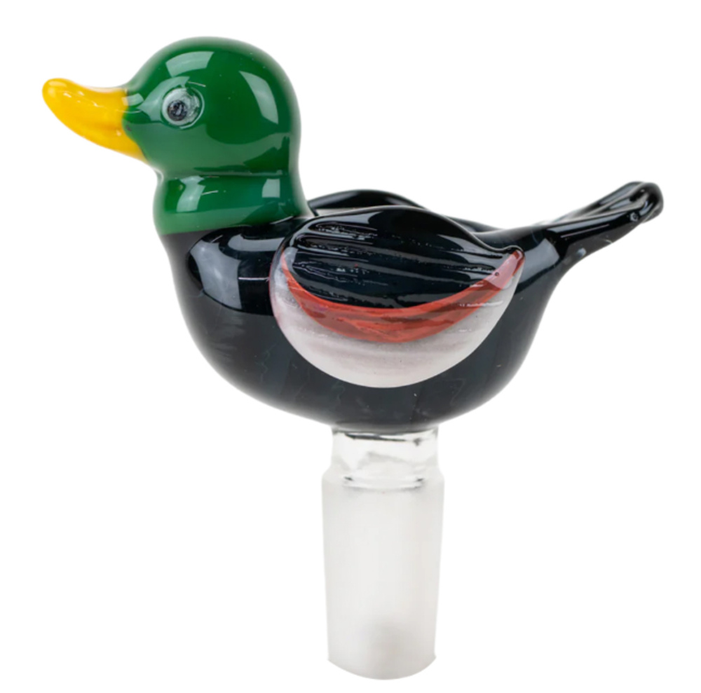 Duck Bowl Duck