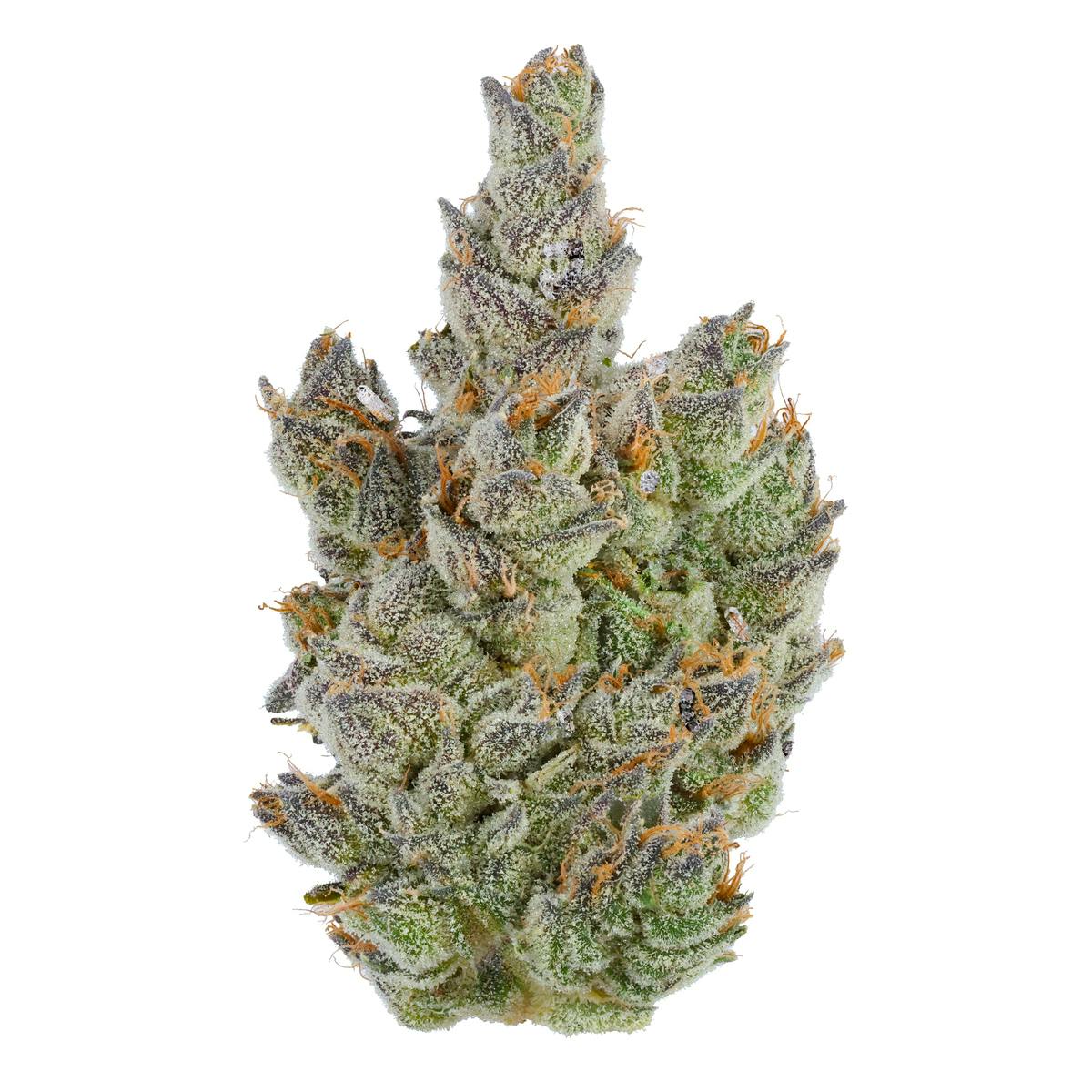 Moonana Chronic