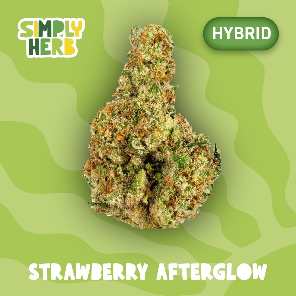 Simply Herb - Strawberry Afterglow Flower