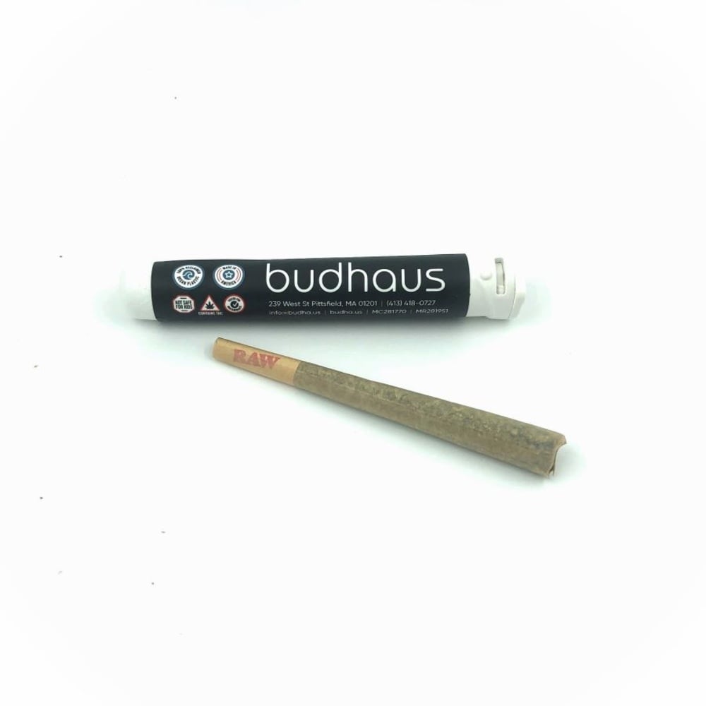 Budhaus - GMO Cookies Pre-Roll (1g) Budhaus - GMO Cookies Pre-Roll (1g)