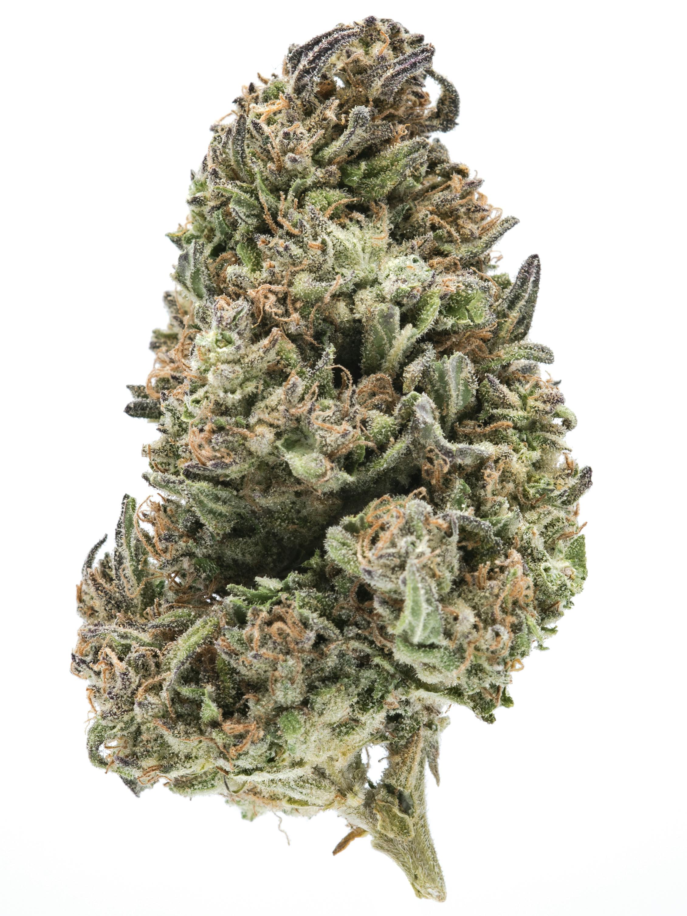 Purple Chem