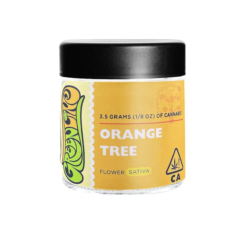Orange Tree | 1/8