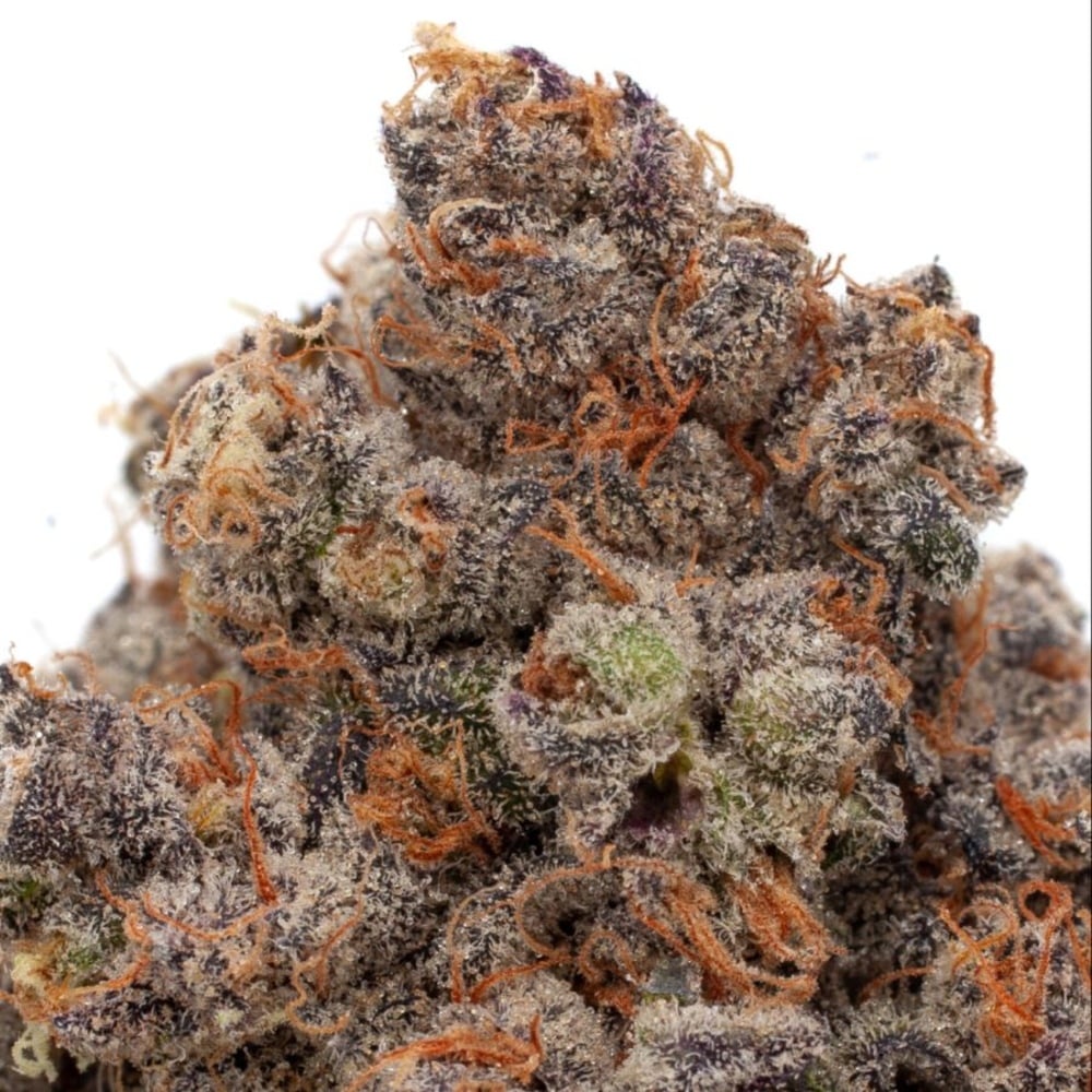 Resinate - Socrates Sour Flower