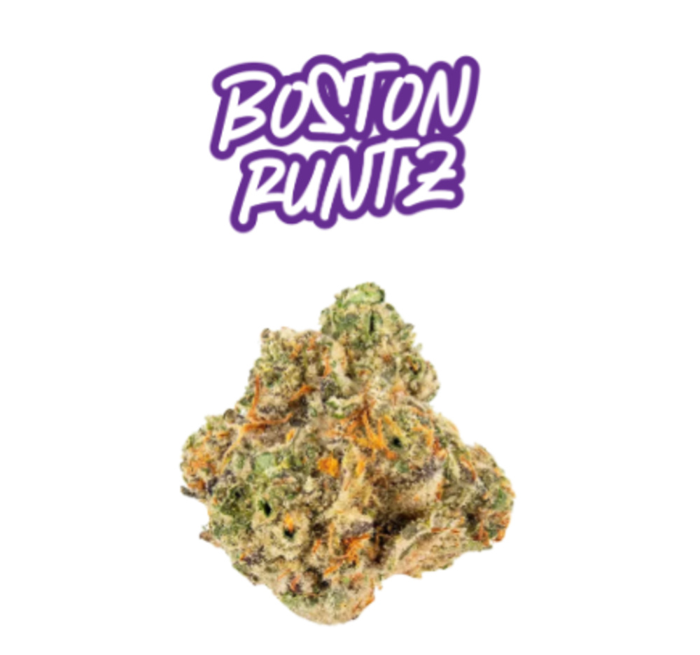 Boston Runtz