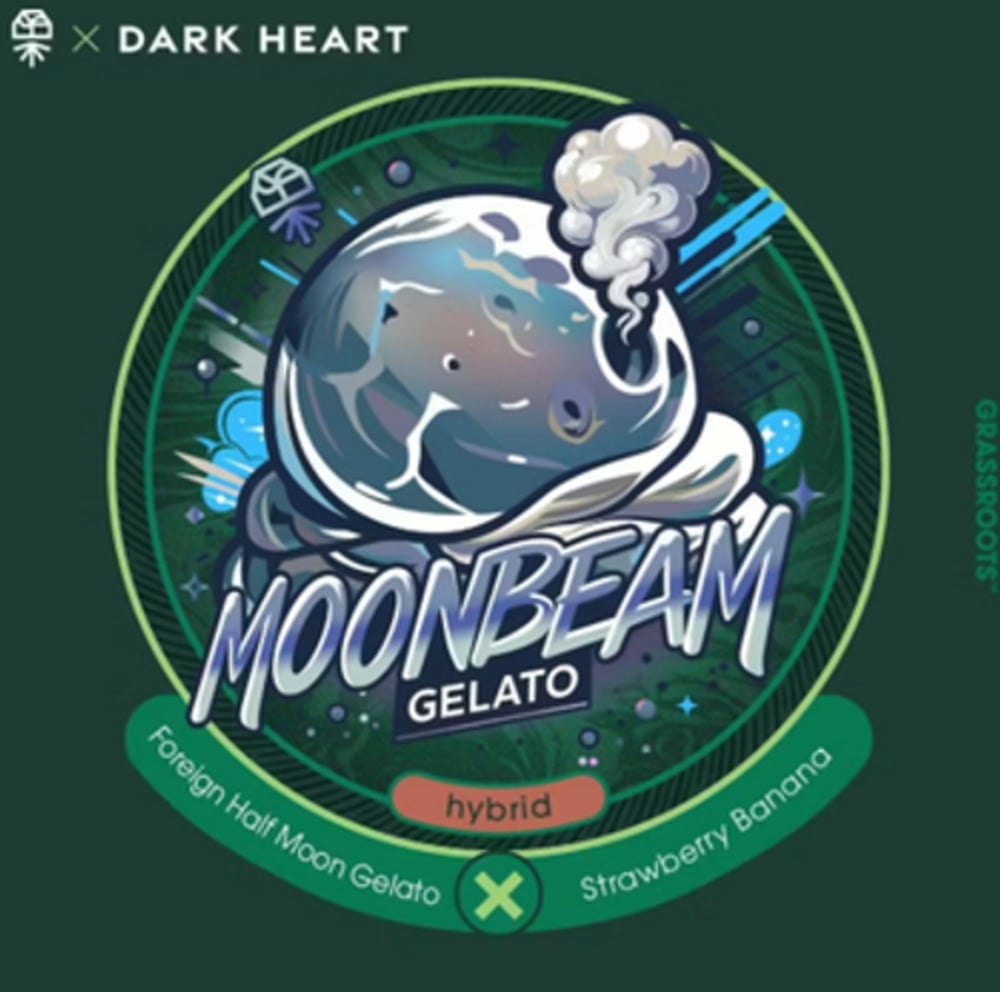 MoonBeam Gelato