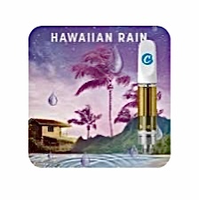 Hawaiian Rain