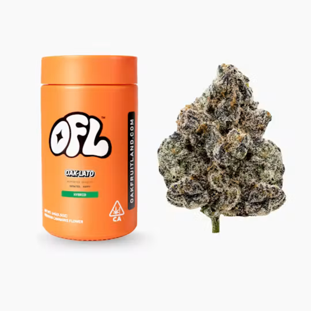 Oak Lato