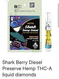Shark Berry Diesel