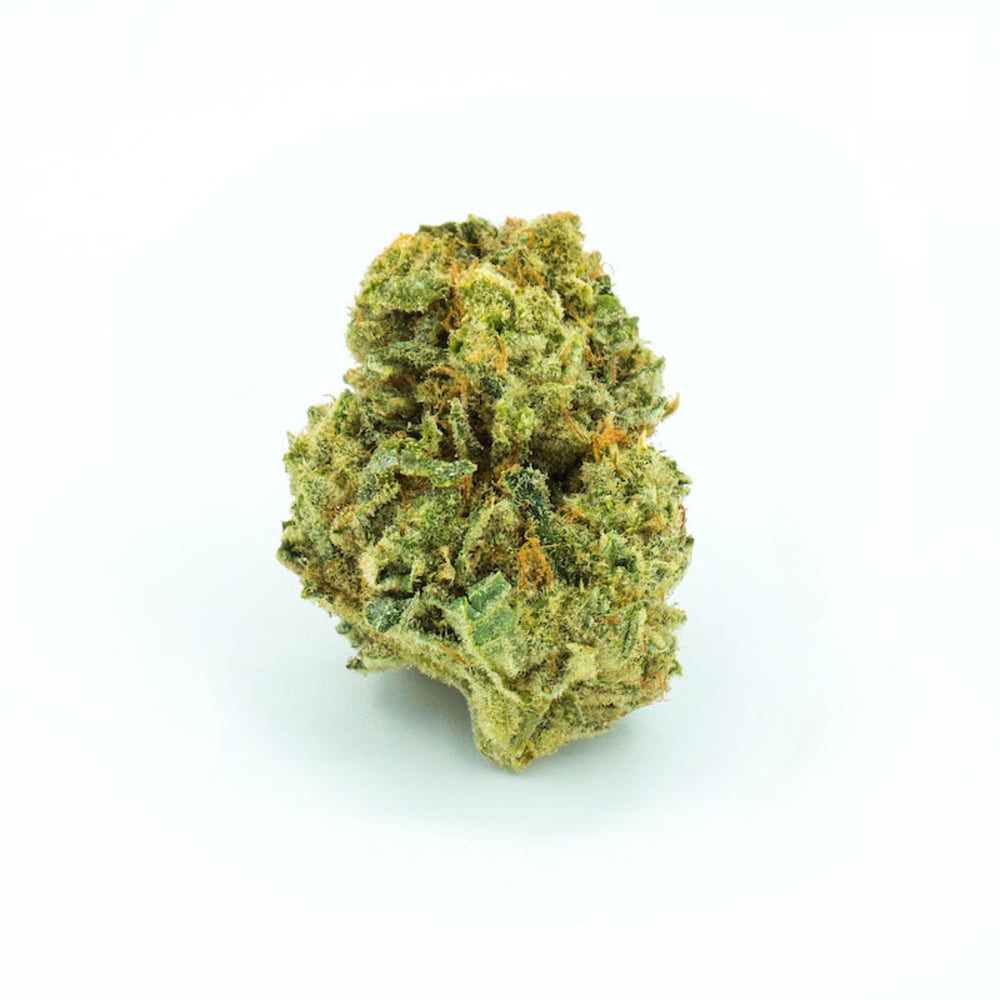 Budhaus - White Widow Flower