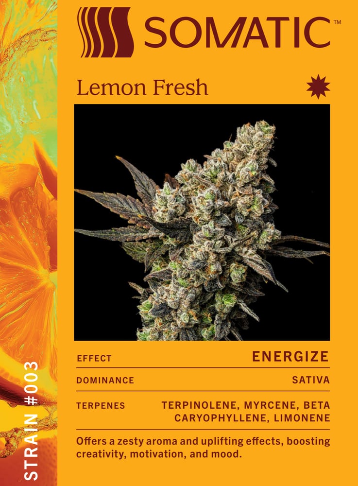 Lemon Fresh [56g]