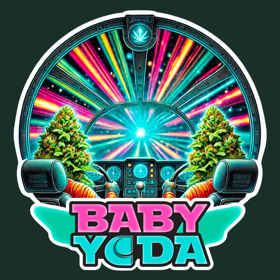 Baby Yoda 
