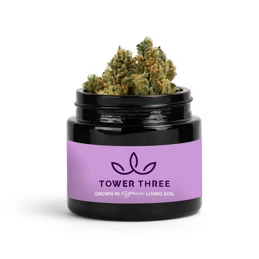 Triangle Death Skunk