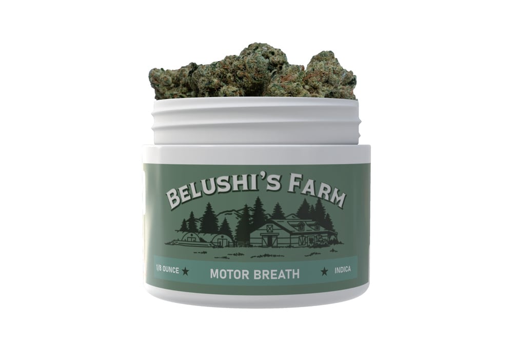 Motor Breath Motor Breath