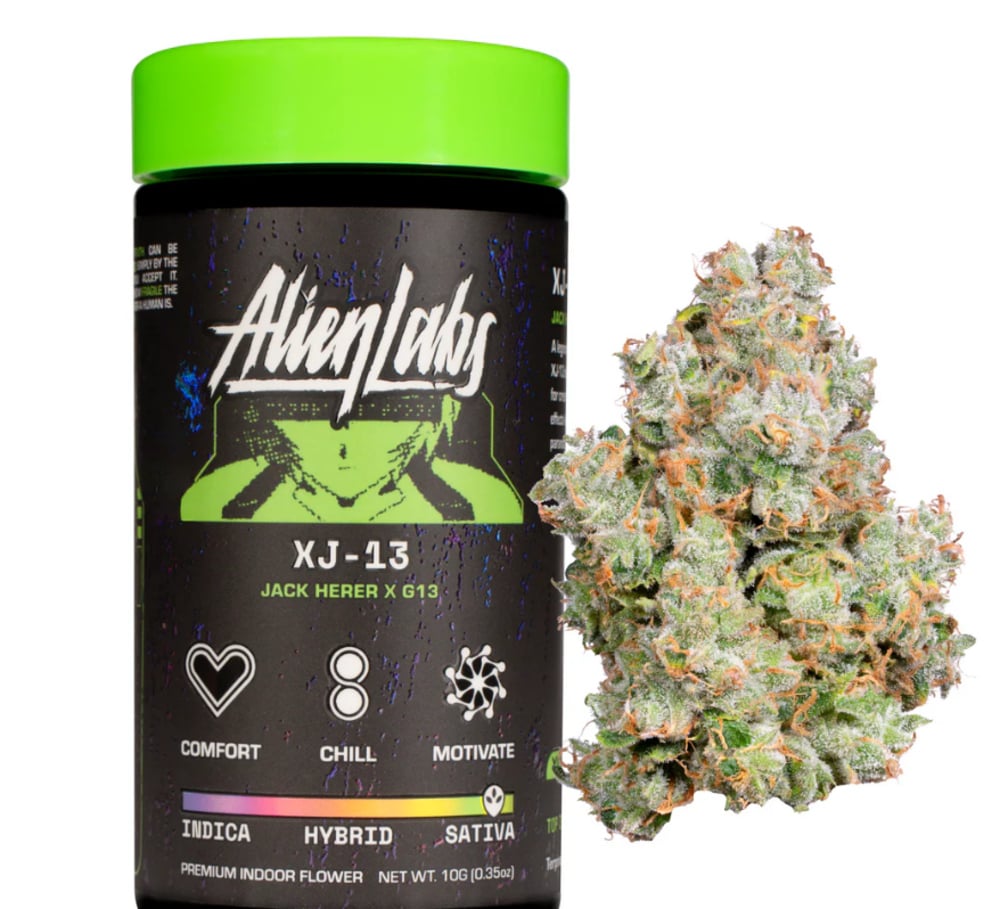 XJ-13 [10g]