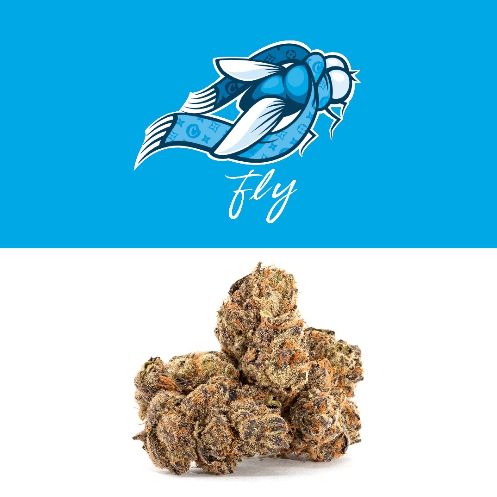 Fly